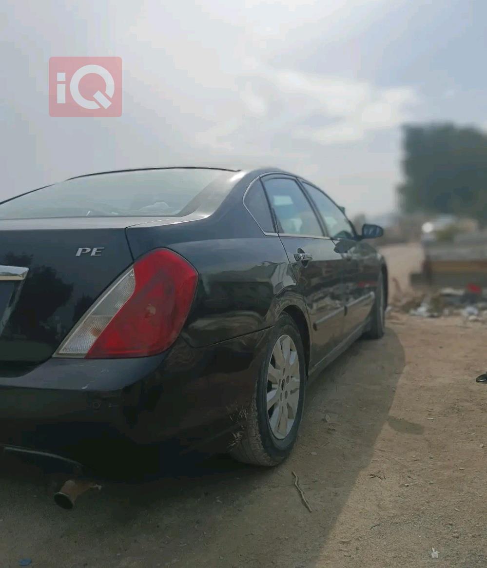 رينو سافران